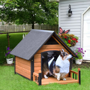 Self cooling dog sales house
